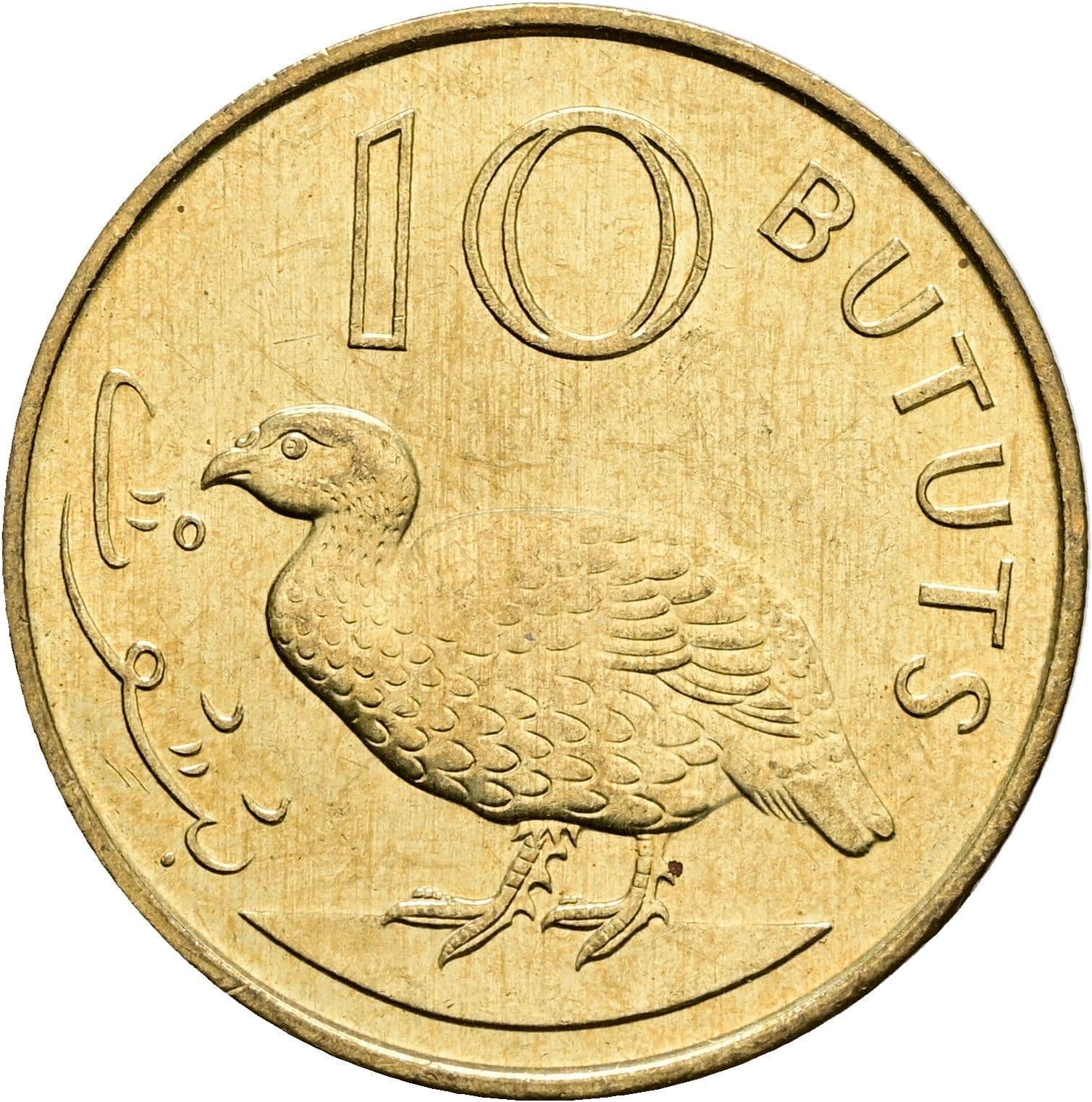 10 Bututs