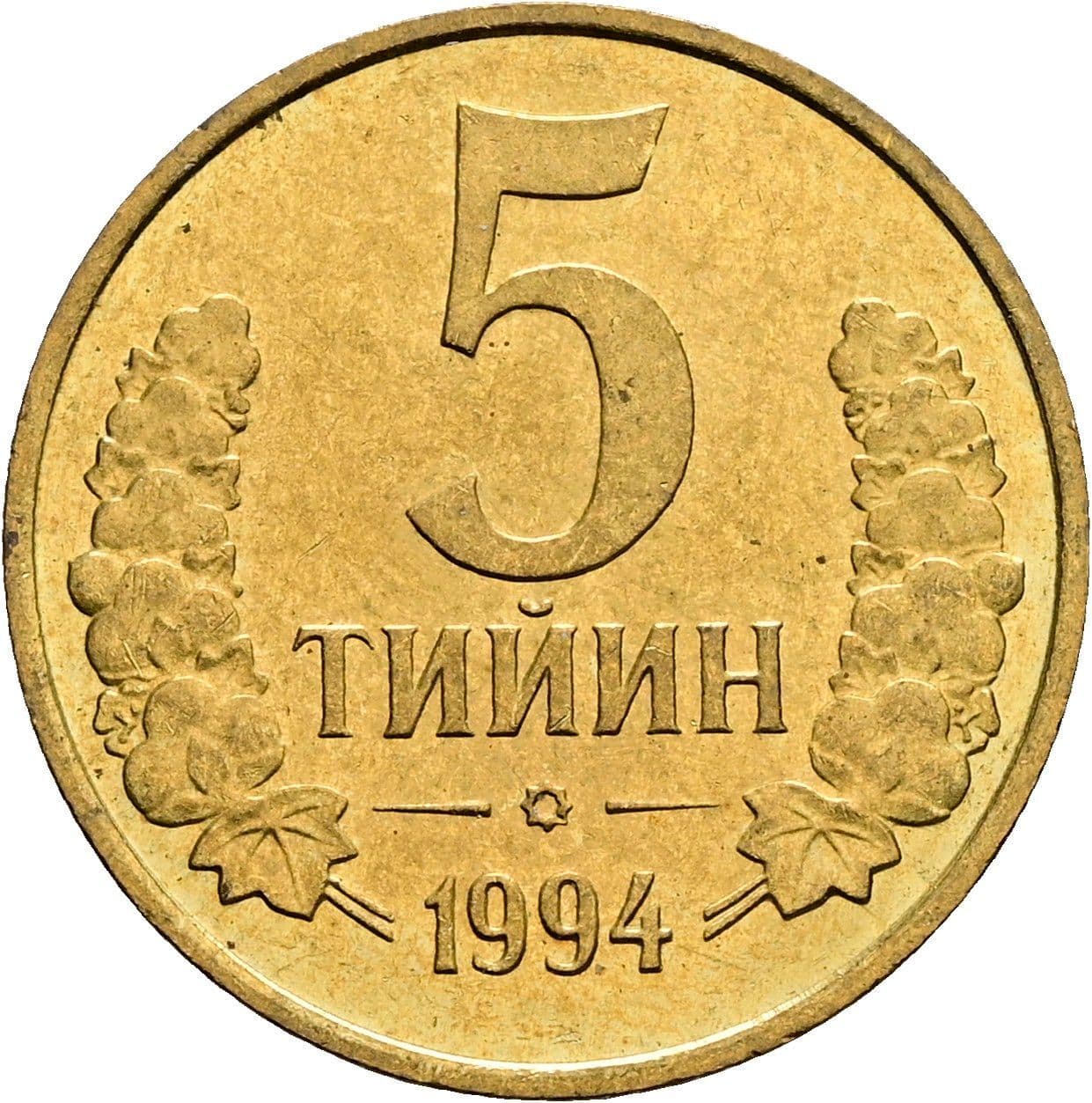 5 Tiyin 1994 – Vorderseite
