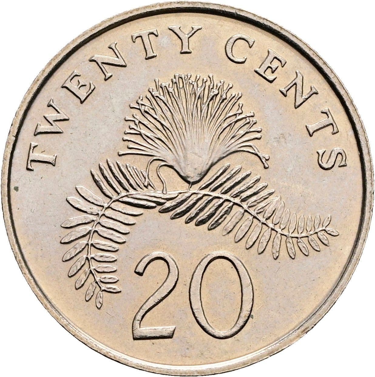 20 Cents