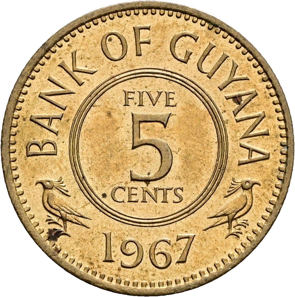 5 Cents