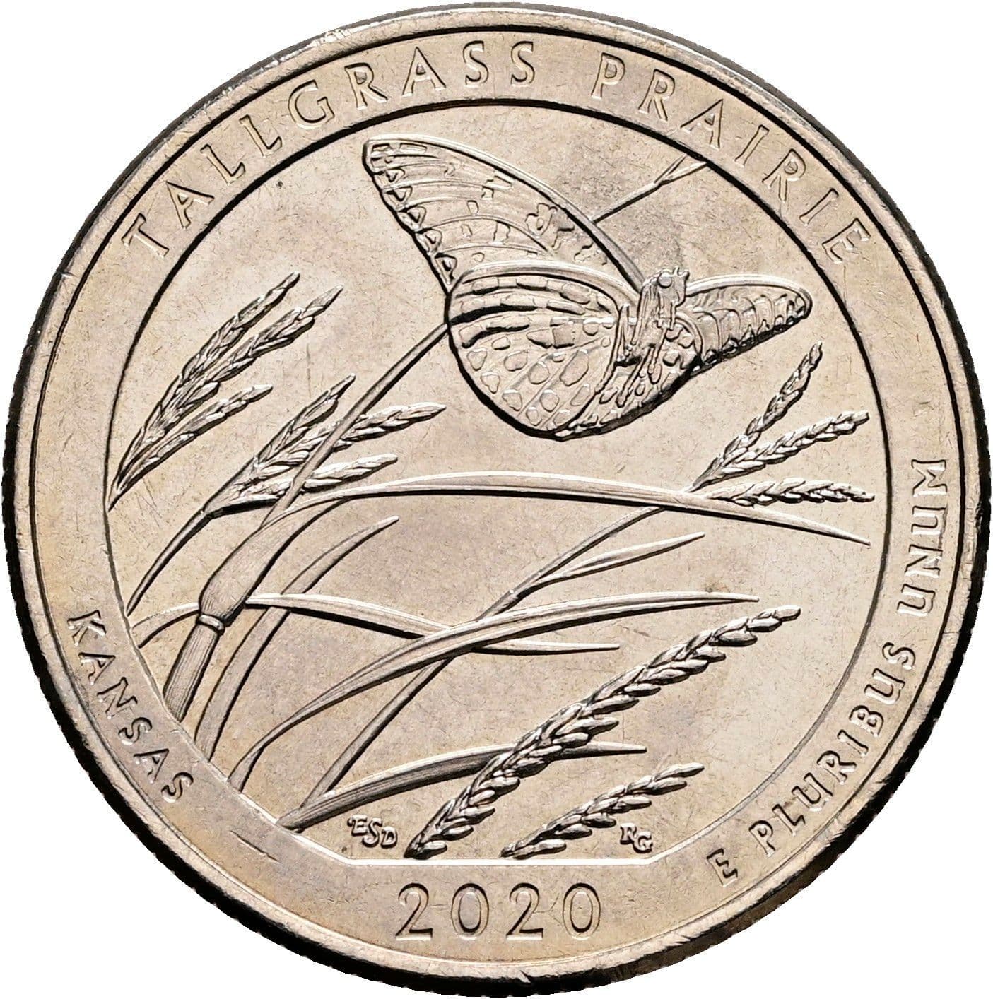 Quarter Dollar 2020 P – Rückseite