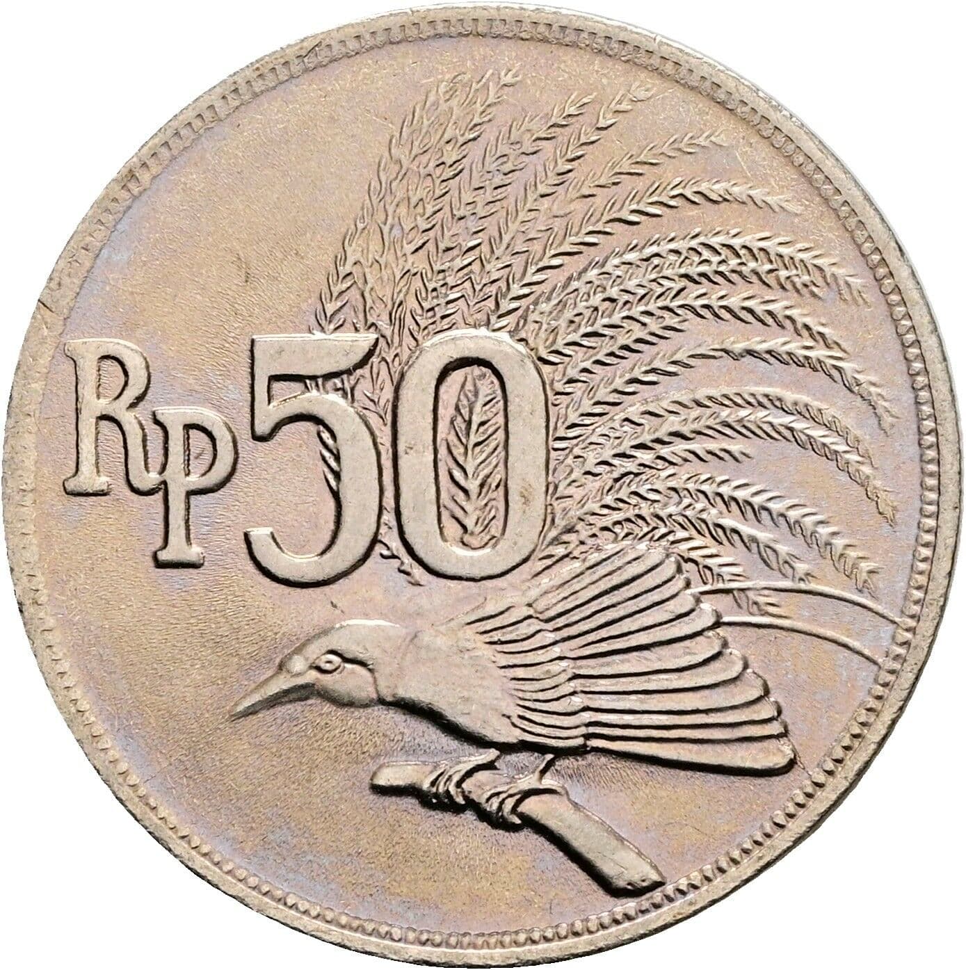 50 Rupiah 1971 – Vorderseite