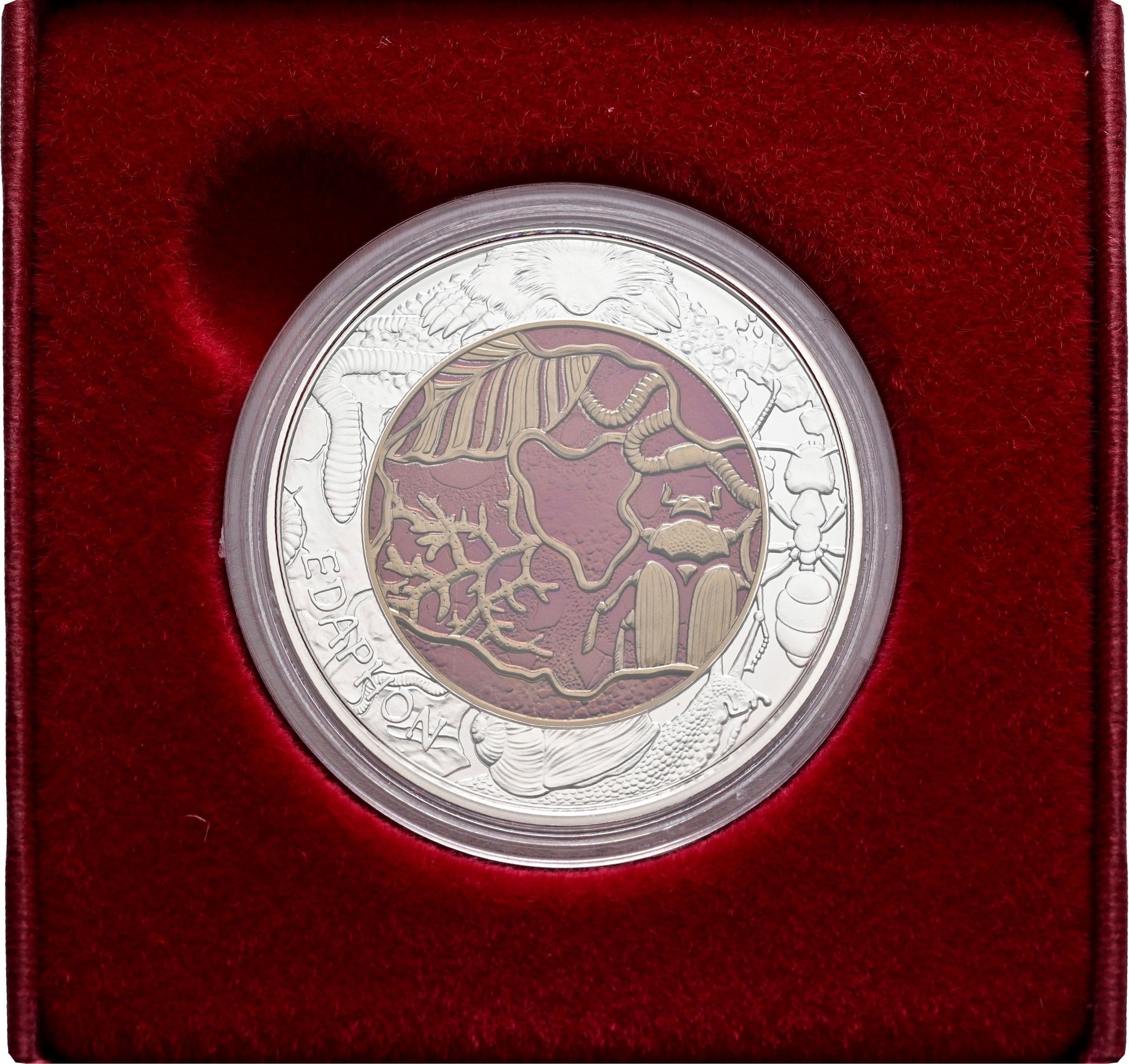 25 Euro Niob 2024 – Vorderseite