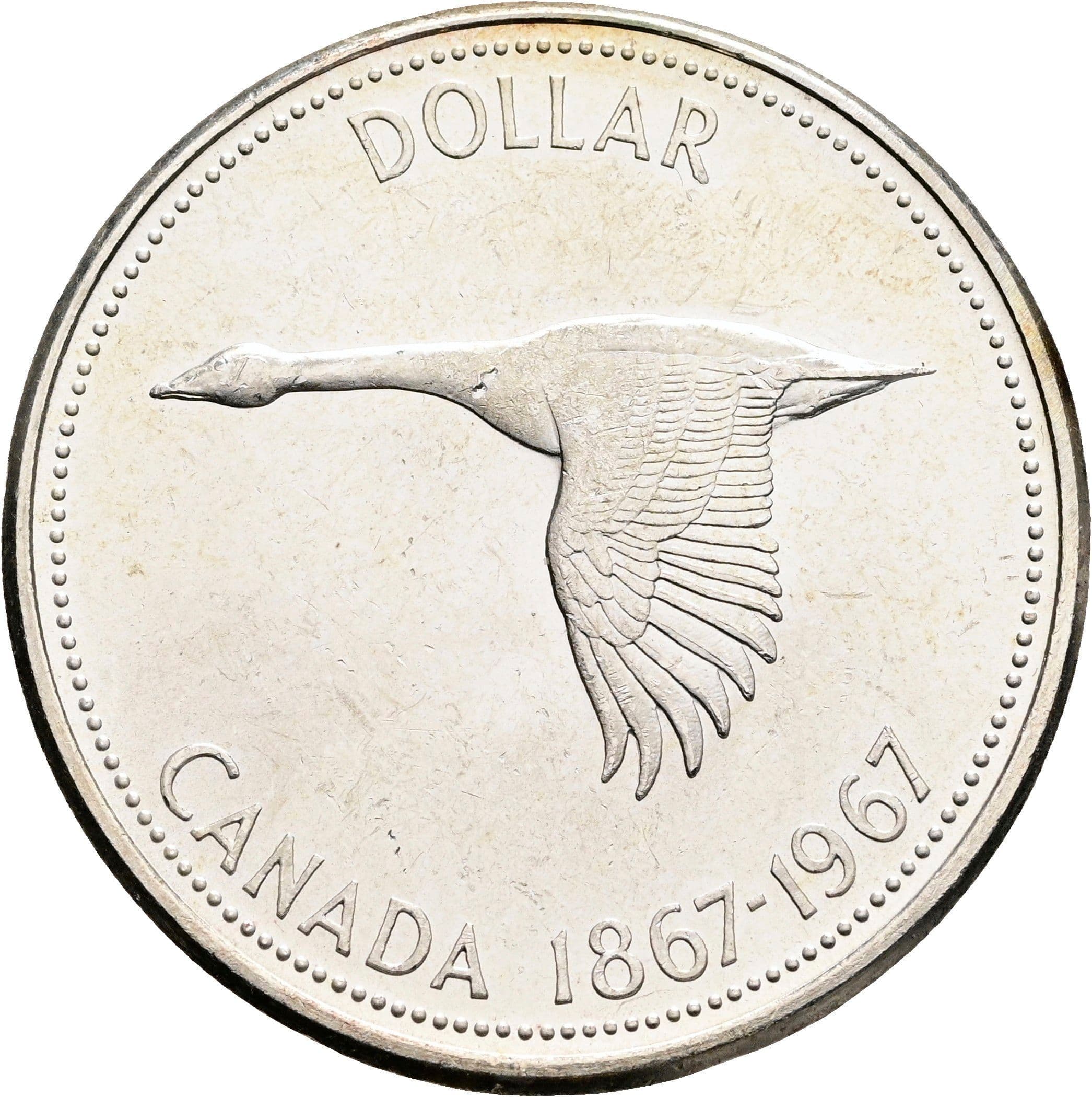 1 Dollar