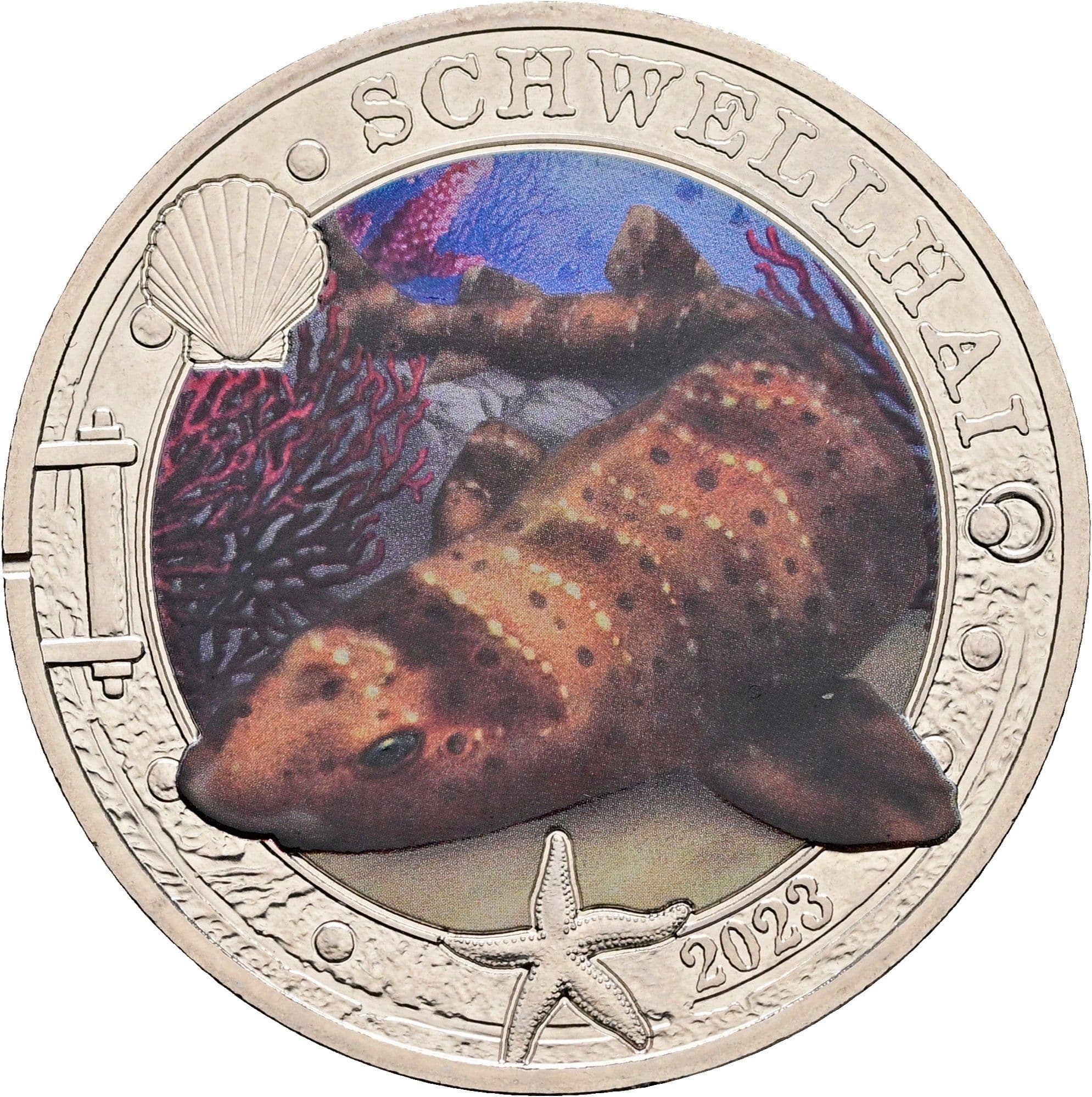 3 Euro 2023 – Vorderseite