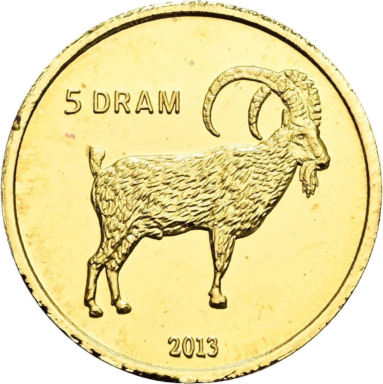 5 Dram