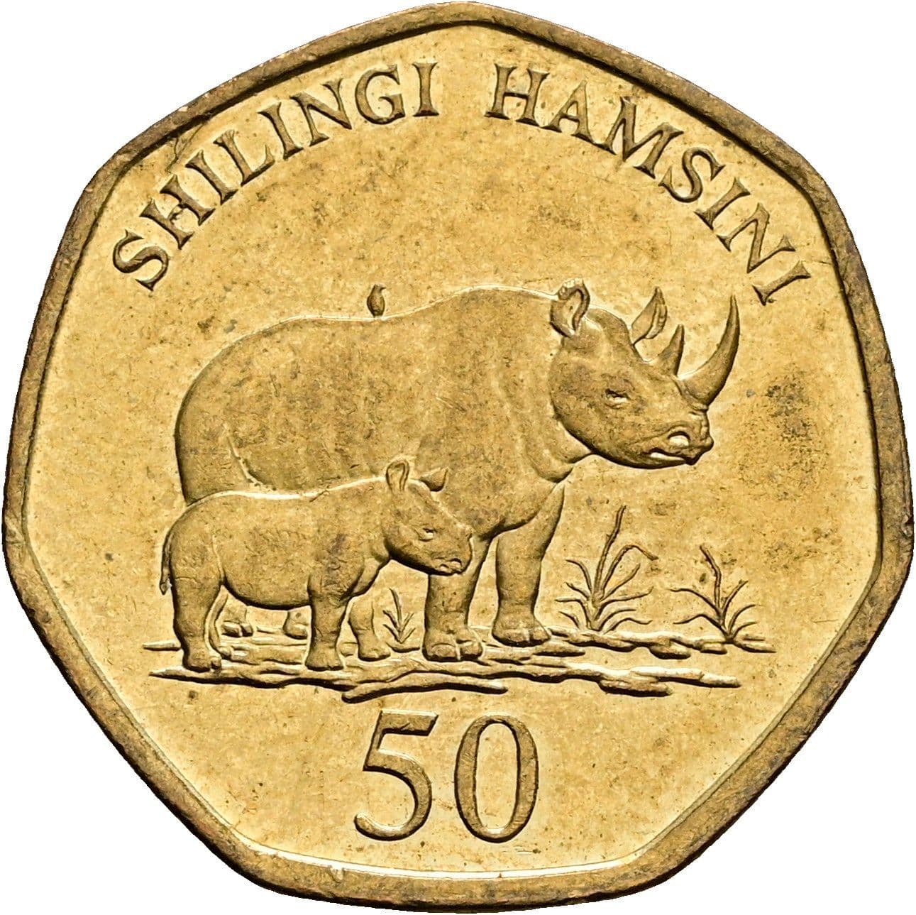 50 Shillingi