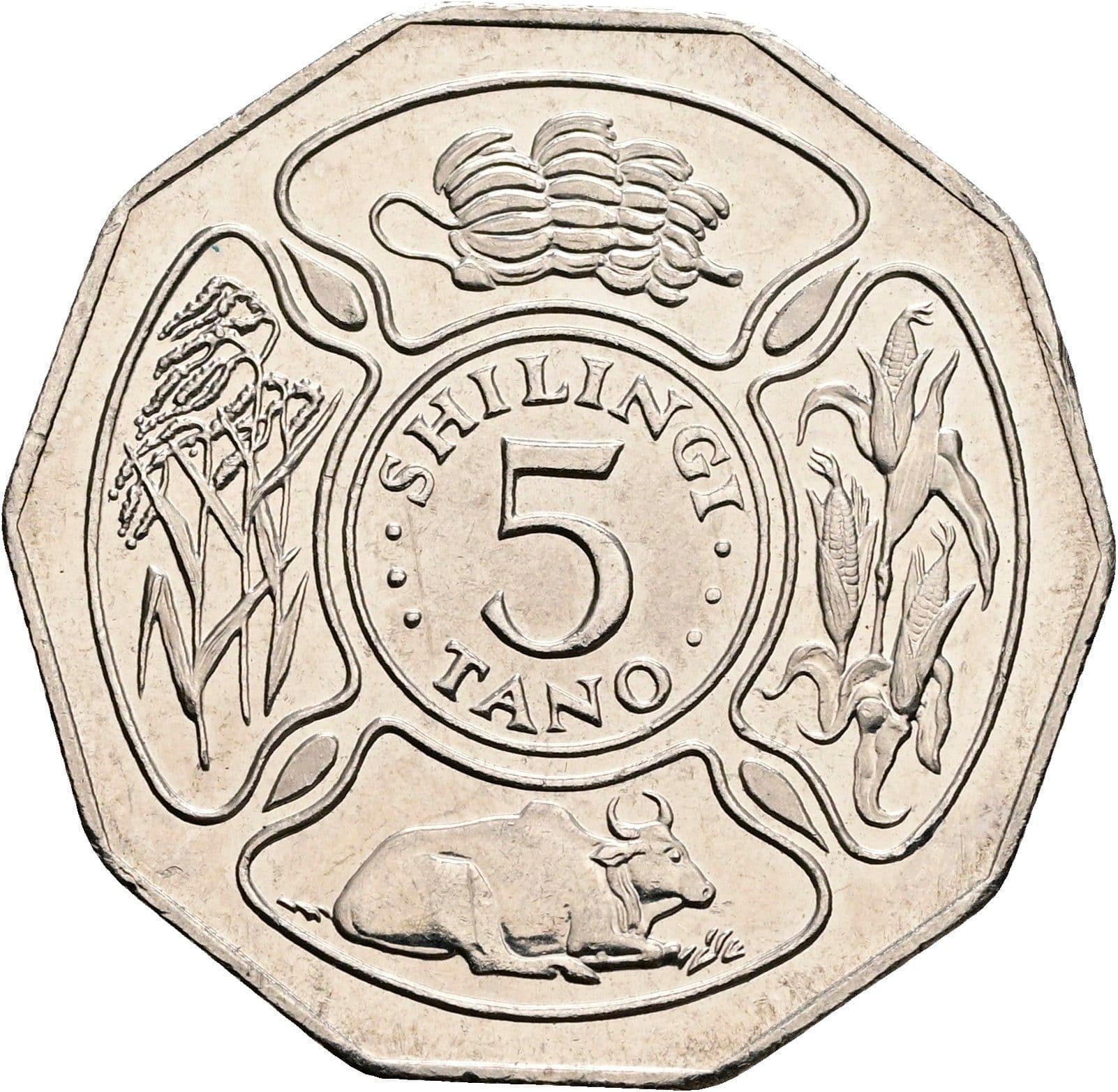 5 Shillingi 1993 – Vorderseite