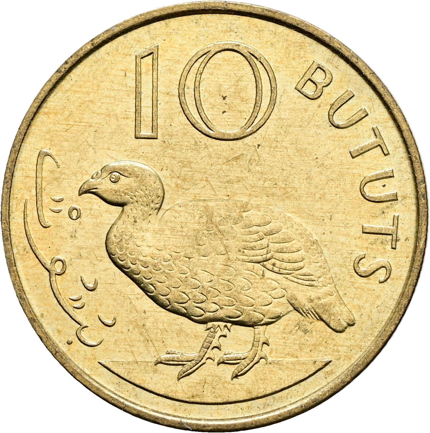 10 Bututs