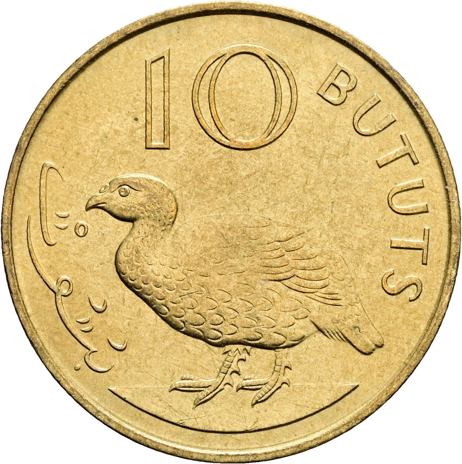 10 Bututs
