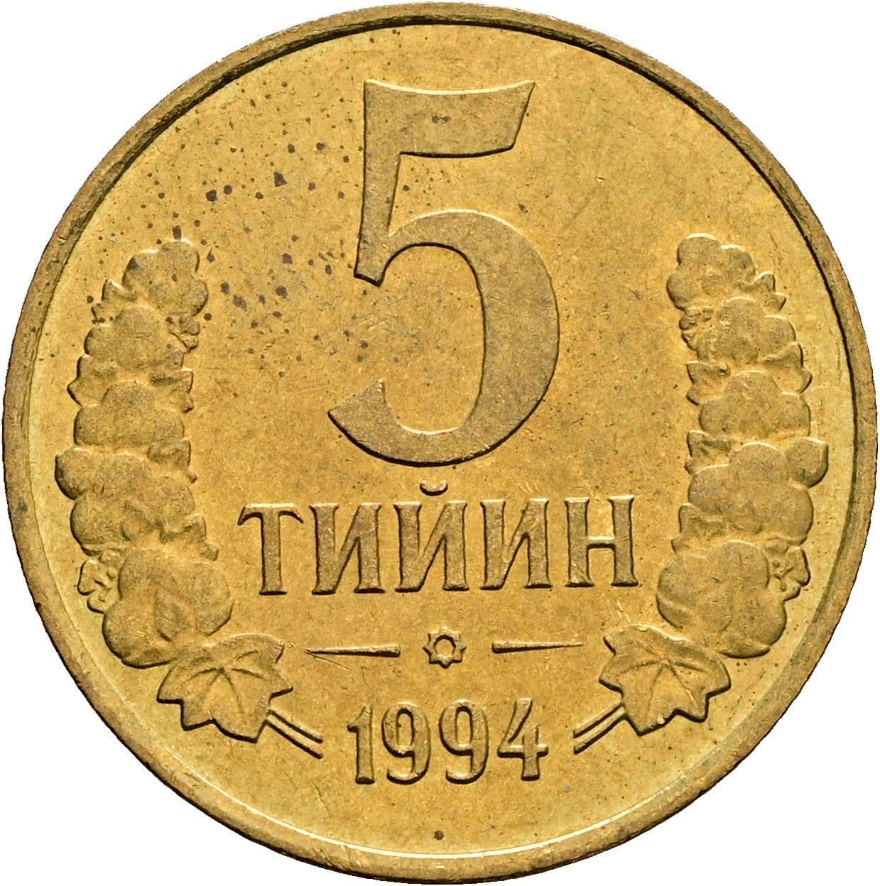 5 Tiyin 1994 – Vorderseite