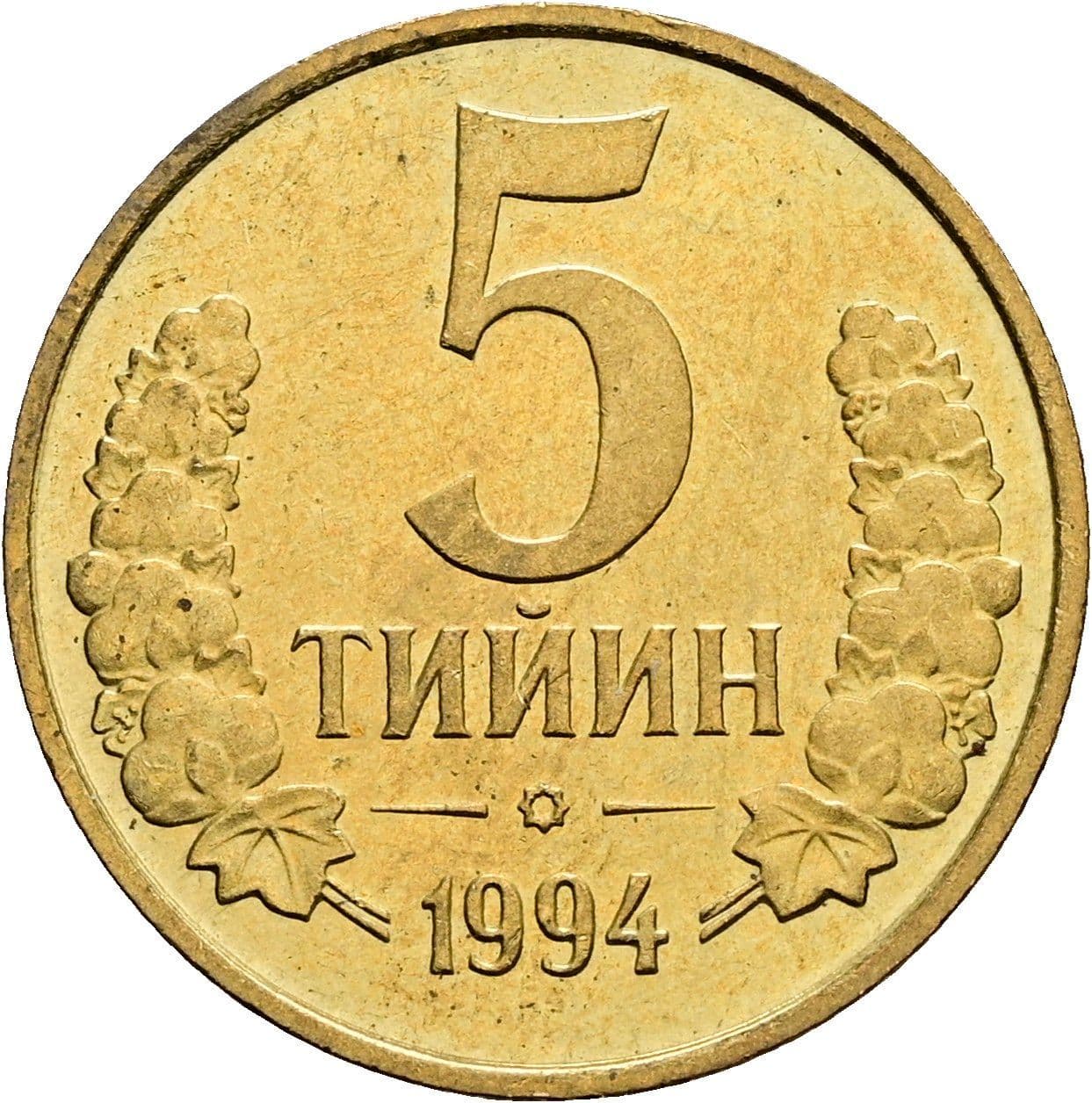5 Tiyin 1994 – Vorderseite