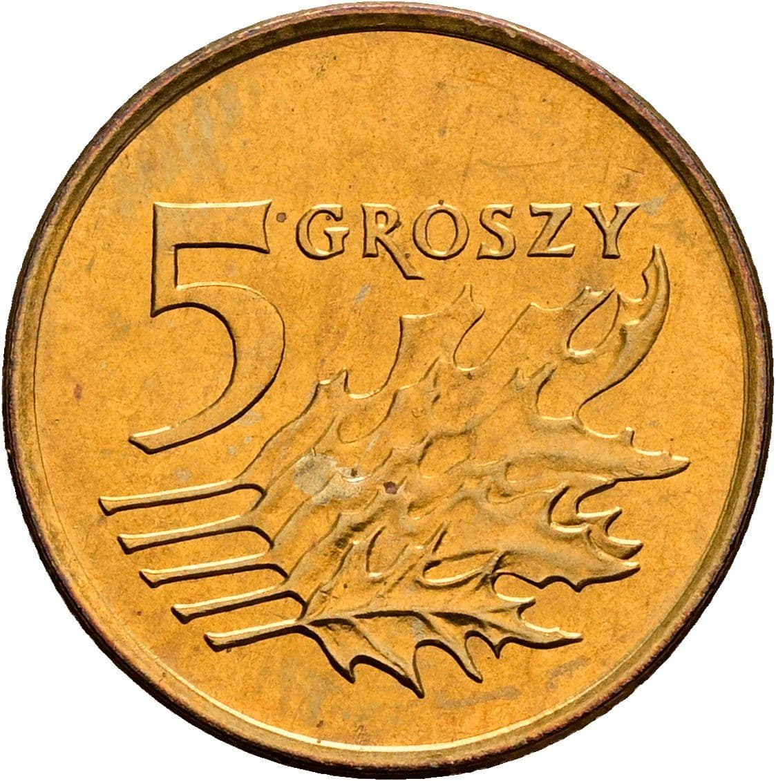 5 Groszy