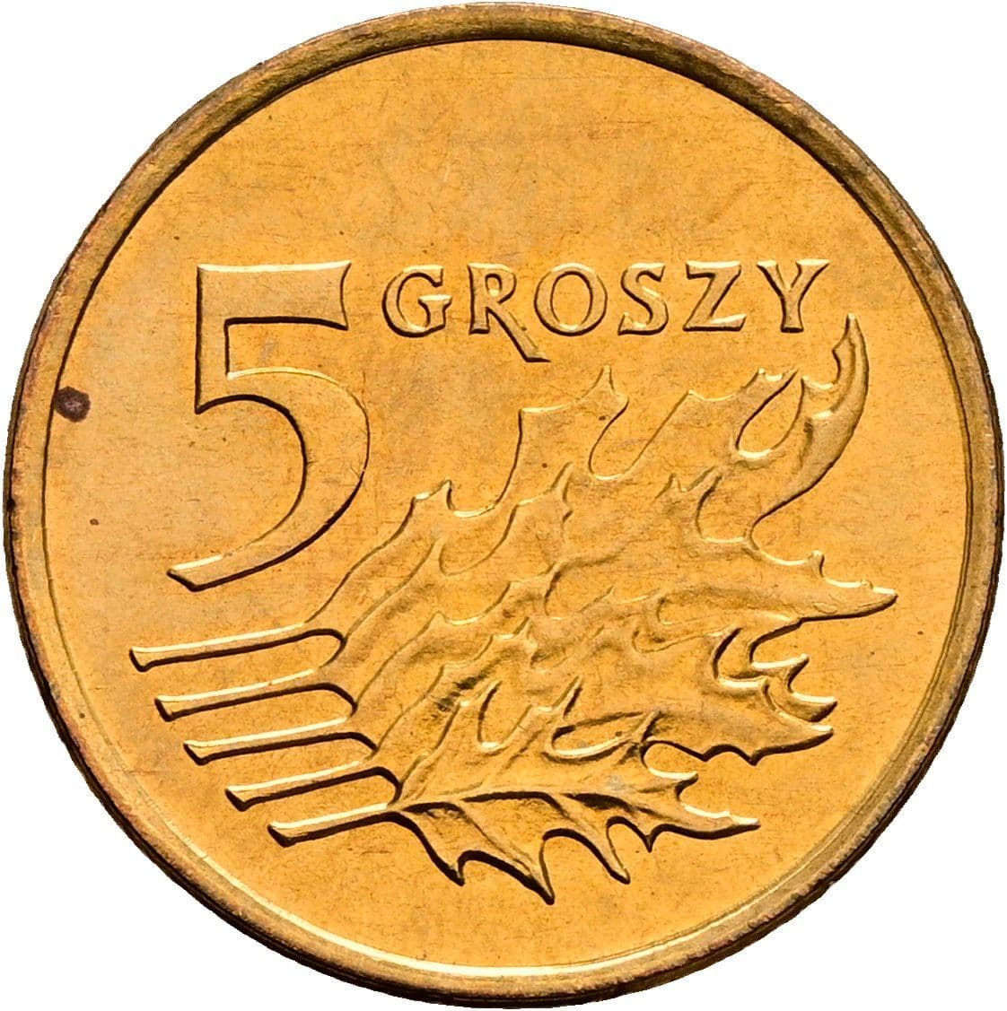 5 Groszy