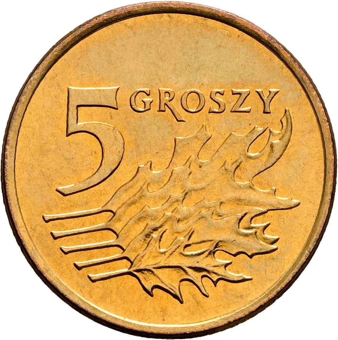 5 Groszy 1991 – Vorderseite