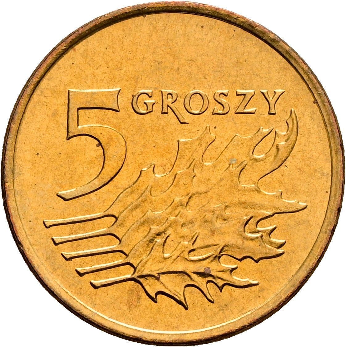 5 Groszy