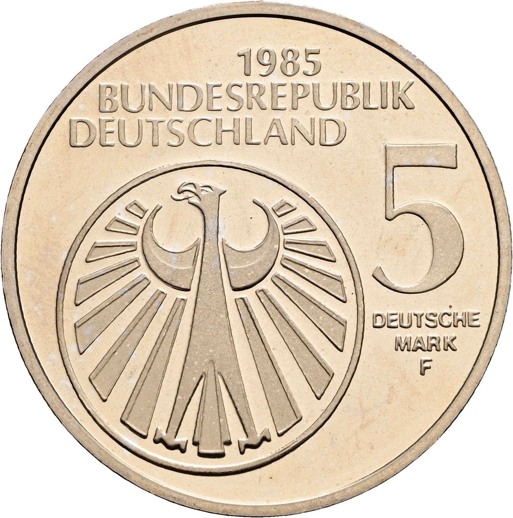 5 Mark